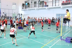 Hội thao công nhân lao động các khu công nghiệp tỉnh (khu vực Vĩnh Phúc)