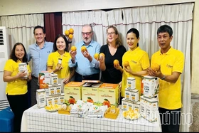 Hiện thực khát vọng nông sản hữu cơ bền vững