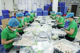 Ông Phùng Đức Định - Người đưa thương hiệu nấm Phùng Gia vươn tầm OCOP 4 sao