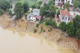 Sạt lở bờ sông Lô tại xã Dân Chủ và Phú Mỹ diễn biến phức tạp