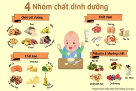 Cân bằng 4 nhóm chất trong bữa ăn của trẻ: Nền tảng cho bé phát triển toàn diện