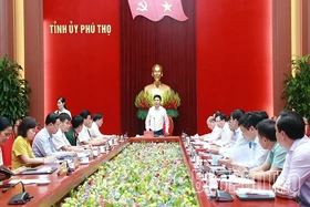 Thường trực Tỉnh ủy nghe, cho ý kiến vào các nội dung quan trọng