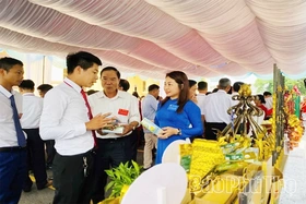 Hành trình xanh của chàng thanh niên vùng trũng