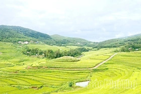 Sẵn sàng cho Lễ hội ruộng bậc thang Miền Đồi xã Thượng Cốc năm 2025