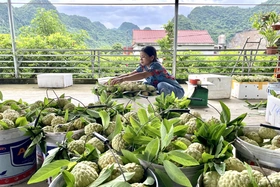 Phong trào thi đua yêu nước ở xã Lạc Thủy: Khơi dậy sức mạnh đoàn kết, tạo động lực phát triển bền vững