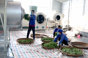 Hướng đi xanh cho sản phẩm OCOP: Thúc đẩy sản xuất thân thiện môi trường