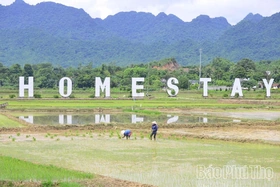 Yên Trị - phong trào thi đua hướng tới thực chất và hiệu quả