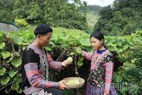 Bài 1: Mang cuộc sống mới về bản