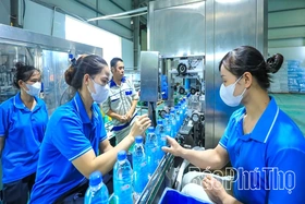 Nước khoáng Kim Bôi - suối nguồn huyền thoại