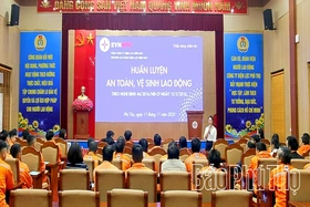 Huấn luyện An toàn, vệ sinh lao động cho hơn 650 cán bộ, công nhân viên ngành Điện
