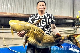 Săn “ngũ quý hà thủy”