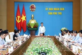 UBND tỉnh họp chuyên đề lĩnh vực tài chính - ngân sách