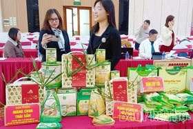 Từ tinh hoa bản Mường đến ngôi sao OCOP Quốc gia