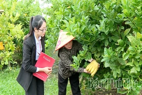 Điểm tựa tài chính vững chắc cho nông dân