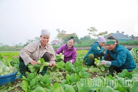 Nòng cốt trong phát triển kinh tế