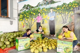 Những mô hình liên kết, tạo bước đột phá cho nông nghiệp