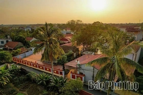 Dai Phuc Tu – A Sanctuary Preserving National Treasures