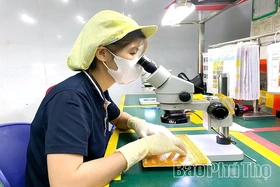 Tăng cường tuyên truyền hội nhập kinh tế, đón làn sóng đầu tư