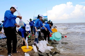 Bài 1: Biểu hiện và tác hại