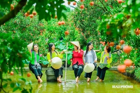 Hải Phòng phát huy lợi thế từ du lịch nông thôn