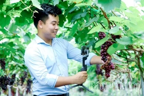 Bước đột phá cho nền nông nghiệp thông minh