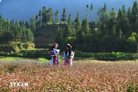 Mùa hoa đánh thức bước chân về miền cực Bắc Tổ quốc
