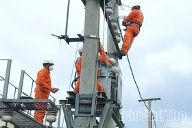 Đội QLĐLKV Thanh Thủy: Chủ động bảo đảm điện an toàn, ổn định cho dịp cuối năm