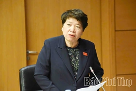 Hoàn thiện thể chế cho Tòa án chuyên biệt, gỡ điểm nghẽn chính sách năng lượng: Đại biểu yêu cầu rõ trách nhiệm, chặt quy định, mở nguồn lực mới