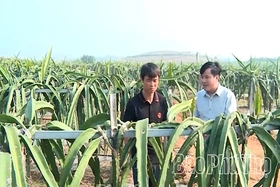 Chuyển đổi số - Đòn bẩy mới cho sản xuất, kinh doanh