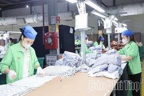 Enterprises Accelerate Production and Business for the Year-End Season