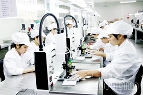 Momentum for Economic Growth