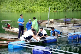 Phát huy hiệu quả mô hình Tổ khuyến nông cộng đồng