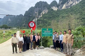 Nhiều hoạt động thi đua chào mừng Đại hội Nông dân tỉnh