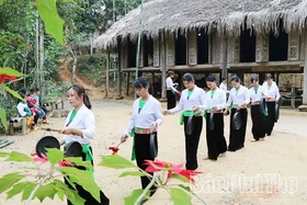 Kiến tạo hành lang chính sách văn hóa, thể thao thống nhất cho tỉnh mới