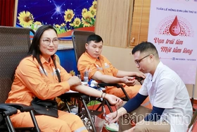 Hưởng ứng Tuần lễ hồng EVN lần thứ XI