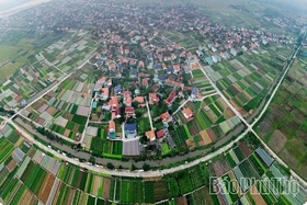 Bustling in the Fields of Tu Xa