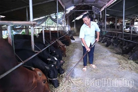 Xuân Viên nâng cao chất lượng cuộc sống người dân