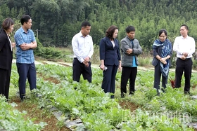 Giải ngân vốn Chương trình mục tiêu quốc gia vùng đồng bào dân tộc thiểu số và miền núi đạt trên 64%