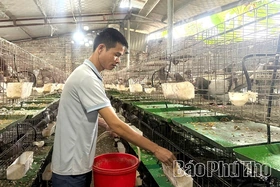 Liên Hòa hành động cụ thể đưa nghị quyết của Đảng vào cuộc sống