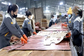 Hỗ trợ doanh nghiệp nâng cao năng suất, chất lượng sản phẩm, hàng hóa