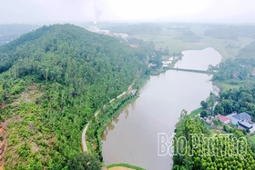 Chuyện người “gác súng” mùa chim