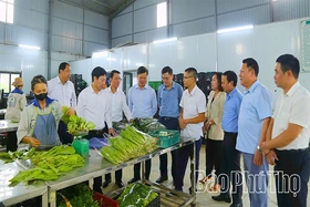 Điểm tựa vững chắc cho nông nghiệp và nông thôn mới