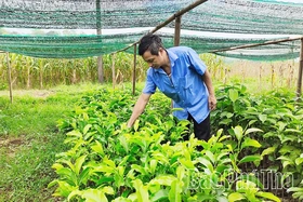 Khâu đột phá trong tái cơ cấu nông nghiệp