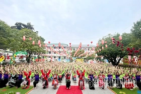 174 học sinh Trường Tiểu học Tân Dân đạt giải Toán tư duy Bebras 2025