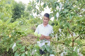 Động lực để đồng bào dân tộc thiểu số “an cư lập nghiệp”