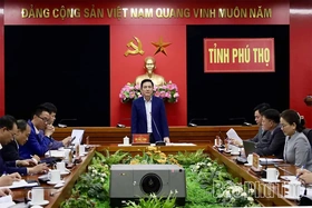 Phó Chủ tịch UBND tỉnh Vũ Việt Văn nghe báo cáo một số nội dung quản lý Nhà nước về chung cư trên địa bàn tỉnh