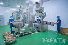 Que Viet Tea: Pure Agricultural Products Meeting OCOP Standards