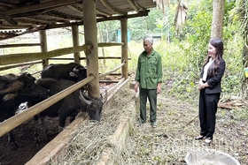 Vùng cao chủ động phòng chống rét đậm, rét hại