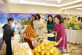 Mở hướng phát triển bền vững cho&nbsp;nông sản&nbsp;địa phương