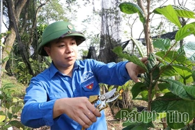 Vươn lên từ đồng đất quê hương